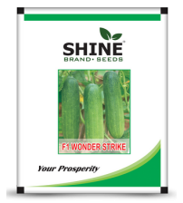 Cucumber Wonder Strike 10 grams